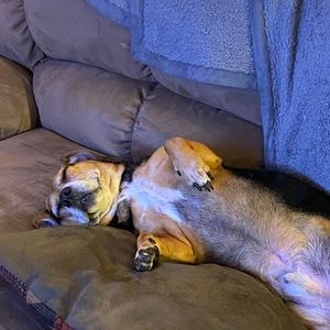 Meet your Posher, Dylan